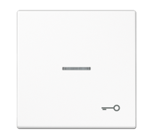 Клавиша для выключателя с символом "Ключ" LS990KO5TWW Jung