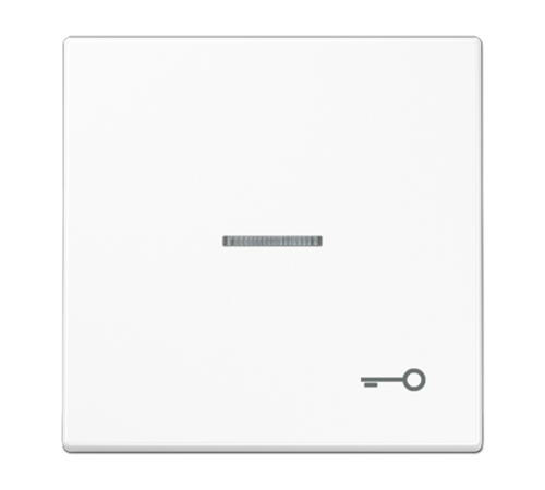 Клавиша для выключателя с символом "Ключ" LS990KO5TWW Jung