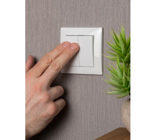 Валенсия выключатель 2-кл. 10А белый EKF PROxima   EWV10-023-10   EKF