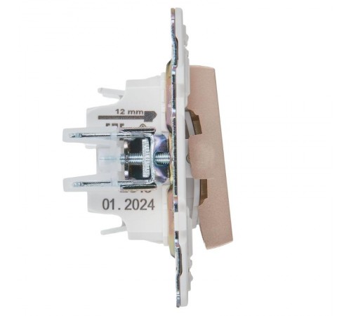 SKANDY Выключатель 2-клавишный с индикацией 10А SK-V09Sa песочный  SK-V20-1-10-K98  IEK