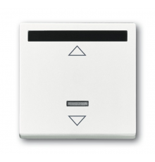 ИК-приёмник с марк. для 6953 U, 6411 U, 6411 U/S, 6550 U-10x, 6402 U, серия solo/future, цвет davos/альп. белый  6020-0-1334   2CKA006020A1334  ABB