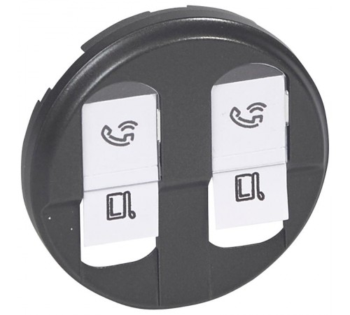 Celiane Графит Накладка компьютерной 2-ой розетки  067952  Legrand