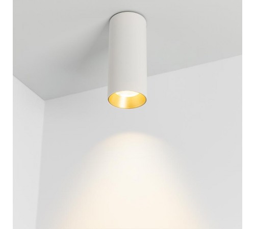 Светильник SP-POLO-SURFACE-R65-8W Day4000 (WH-GD, 40 deg)  027505  Arlight