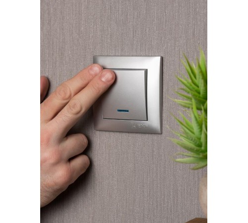 Валенсия лицевая панель выключателя 1-кл. с индикатором 10А сталь EKF PROxima   ESV10-L-121-30   EKF