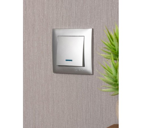 Валенсия лицевая панель выключателя 1-кл. с индикатором 10А сталь EKF PROxima   ESV10-L-121-30   EKF