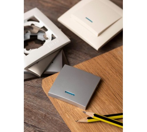 Валенсия лицевая панель выключателя 1-кл. с индикатором 10А сталь EKF PROxima   ESV10-L-121-30   EKF