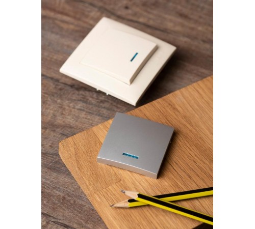 Валенсия лицевая панель выключателя 1-кл. с индикатором 10А сталь EKF PROxima   ESV10-L-121-30   EKF