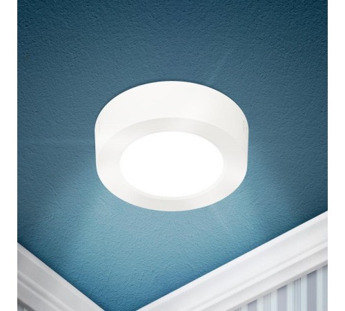 Светильник светодиодный LED 19-24-6K накладной круглый 24Вт 6500К  Б0057432  ЭРА