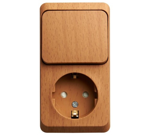 Этюд Бук О/У Блок: Розетка с заземлением со шторками + Выключатель 1-клавишный  BPA16-201T  SE