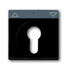 Накладка для механизма 2712/2713 USL, 2722/2723 USL, 2733 USL, поле для надписи, Future/Axcent/Carat/Династия, черный бархат  2CKA001710A3902  ABB