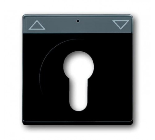 Накладка для механизма 2712/2713 USL, 2722/2723 USL, 2733 USL, поле для надписи, Future/Axcent/Carat/Династия, черный бархат  2CKA001710A3902  ABB