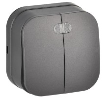 GLORY Выключатель 2-клавишный с индикацией о/у 10А ВС20-2-1-ХСм сталь матовый  EVH21-K46M-10  IEK