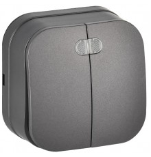 GLORY Выключатель 2-клавишный с индикацией о/у 10А ВС20-2-1-ХСм сталь матовый  EVH21-K46M-10  IEK