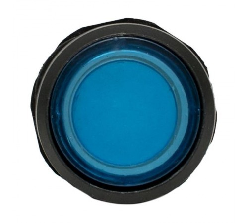 Кнопка SW2C-10D с подсветкой синяя NO EKF PROxima  sw2c-md-b  EKF