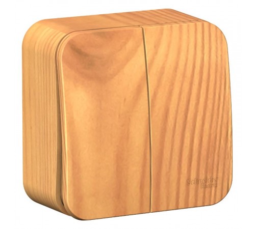 Blanca Ясень О/У с изолирующей пластиной Ясень Выключатель 2-клавишный 10А, 250B  BLNVA105015  SE