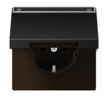 SCHUKO розетка с крышкой и полем для надписи  AL1520NAKLD  Jung