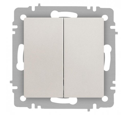 Переключатель Intro Accent 6-107-06 двойной, 10А-250В, IP20, СУ, AL/CU, перламутр  Б0063566  Intro