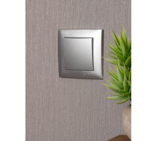 Валенсия лицевая панель выключателя 1-кл. 10А сталь EKF PROxima   ESV10-L-021-30   EKF