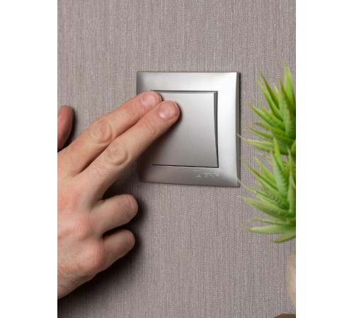 Валенсия лицевая панель выключателя 1-кл. 10А сталь EKF PROxima   ESV10-L-021-30   EKF