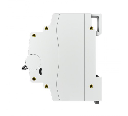 Выключатель нагрузки модульный ВН-125, 2P 100А EKF PROxima  SL125-2-100-pro  EKF (замена - S1252100)