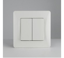 Выключатель двухклавишный, 10А, 220-250V (белый)  201102  SPL