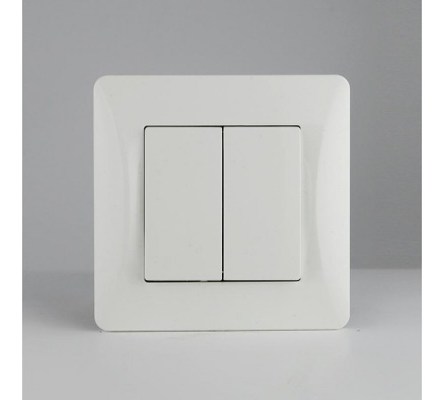 Выключатель двухклавишный, 10А, 220-250V (белый)  201102  SPL