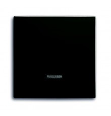 Клавиша для светорегулятора 6550 U, 6560 U, 6593 U, 6526 U, реле 6401 U, 6402 U, Basic 55, ch?teau-black  2CKA006599A2994  ABB