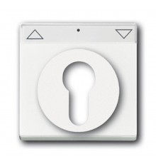 Плата центральная (накладка) для механизма выкл. жалюзи с зам., серия solo/future, цвет davos/альпийский белый  1710-0-3175   2CKA001710A3175  ABB