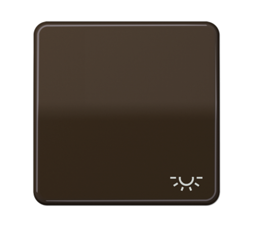 Клавиша с символом "освещение"; коричневая  CD590LBR  Jung