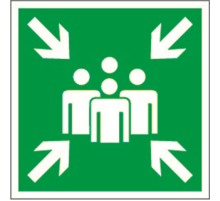 Пиктограмма (Пластина) "Пункт (место) сбора" BL-1515.E21  a13224  Белый свет