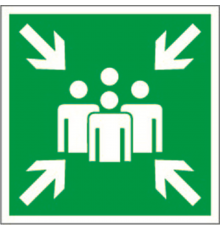 Пиктограмма (Пластина) "Пункт (место) сбора" BL-1515.E21  a13224  Белый свет