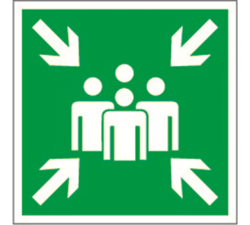 Пиктограмма (Пластина) "Пункт (место) сбора" BL-1515.E21  a13224  Белый свет