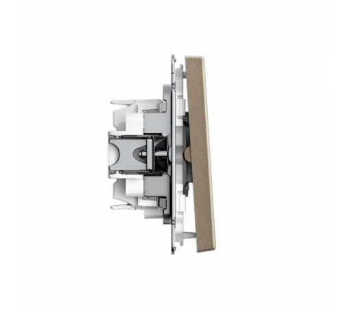 ArtGallery Шампань Выключатель 2-клавишный КНОПОЧНЫЙ, 10АХ, механизм, быстрозажим. клем.  GAL000517S  SE