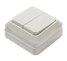 Выключатель двухклавишный BOLLETO белый накладной 7023  4680005959761  IN HOME