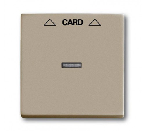 ABB Basic 55 Шампань Накладка карточного выключателя(мех. 2025U)  1710-0-3929   2CKA001710A3929  ABB