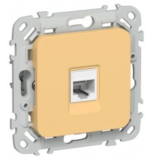 FLITE Розетка компьютерная RJ45 кат.6 UTP РК6-1-0-ФлЗ золотарник  FI-K12-2-K90  IEK