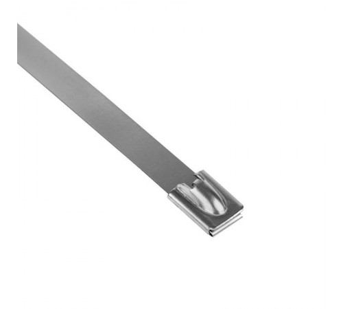 Хомут AISI 304 из нержавеющей стали, 7.9x200 (10 шт.) FlexLock PROxima  plc-fl-tss-304-7.9x200-r  EKF