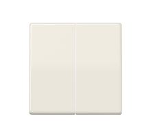 Клавиши для сдвоенного выключателя; термопласт; слоновая кость  AS591-5BF  Jung