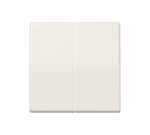 Клавиши для сдвоенного выключателя; термопласт; слоновая кость  AS591-5BF  Jung