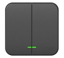 Blanca Антрацит О/У Выключатель 2-клавишный с подсветкой, 10А, 250B  BLNVA105106  SE