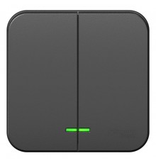 Blanca Антрацит О/У Выключатель 2-клавишный с подсветкой, 10А, 250B  BLNVA105106  SE