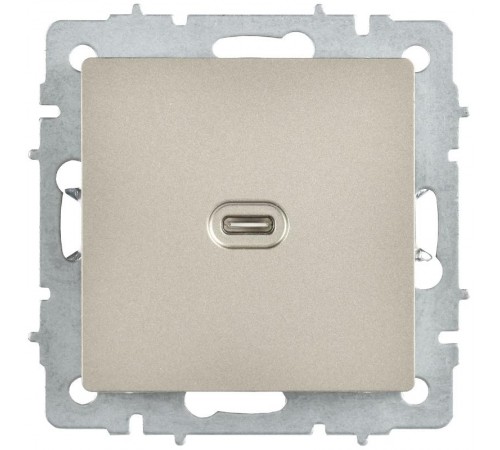 BRITE Роз. USB C 65Вт высокоскор. зар. РЮ12-1-БрШ шамп.  BR-U13-065-K37  IEK