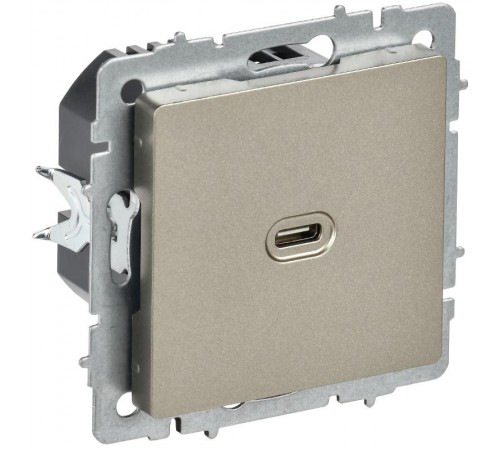 BRITE Роз. USB C 65Вт высокоскор. зар. РЮ12-1-БрШ шамп.  BR-U13-065-K37  IEK