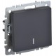 BRITE Выключатель 1-клавишный с индикацией 10А ВС10-1-1-БрГ графит  BR-V10-1-10-K53  IEK