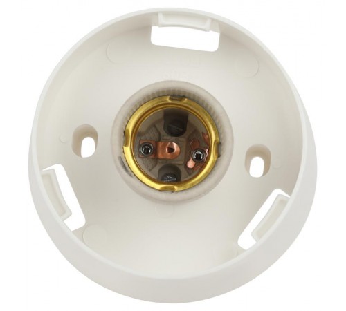 Светильник пылевлагозащищенный под лампу для ЖКХ НБП 01-60-004 с наклонным основанием Гранат полиэтилен IP20 E27 max 60  Б0052011  ЭРА