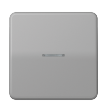 Клавиша с окошком для выключателя и кнопки с подсветкой; серая  CD590KO5GR  Jung