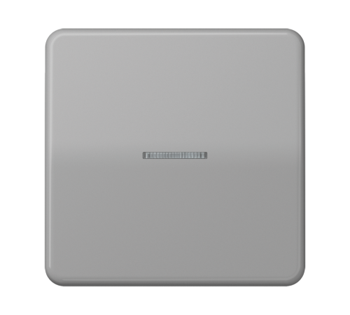 Клавиша с окошком для выключателя и кнопки с подсветкой; серая  CD590KO5GR  Jung