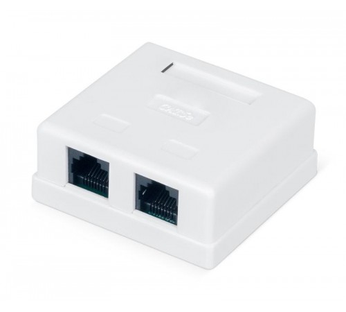 WR-WS-8P8C-C5E-2 Розетка компьютерная RJ-45, кат., 5e, неэкран.,, двойная, внешняя, Dual IDC, цвет белый  505216  WRLine