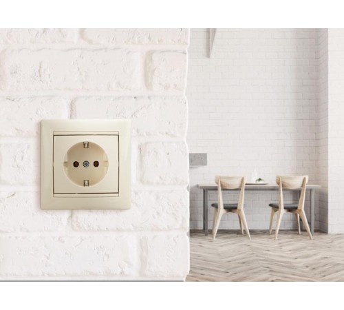 Valena Сл. кость Розетка 1-ая с/з  774320  Legrand