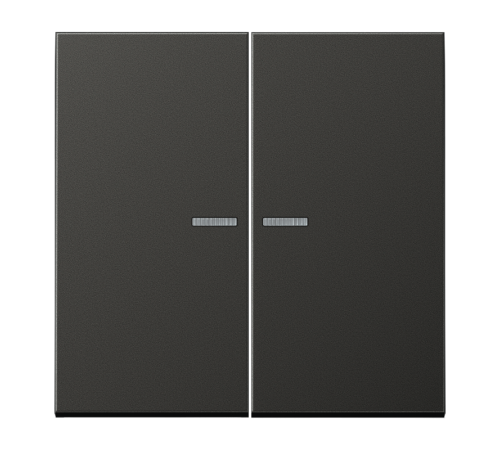 Двойная клавиша с окошками для балансирных механизмов выключателей (кнопок), в комплекте с CD95HP (крепежный элемент), возможно IP44; металл; антрацит